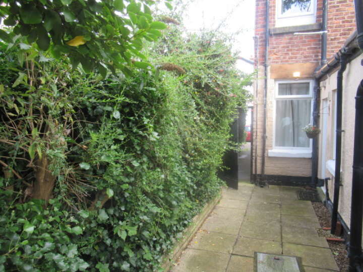 The Grove rear garden.JPG