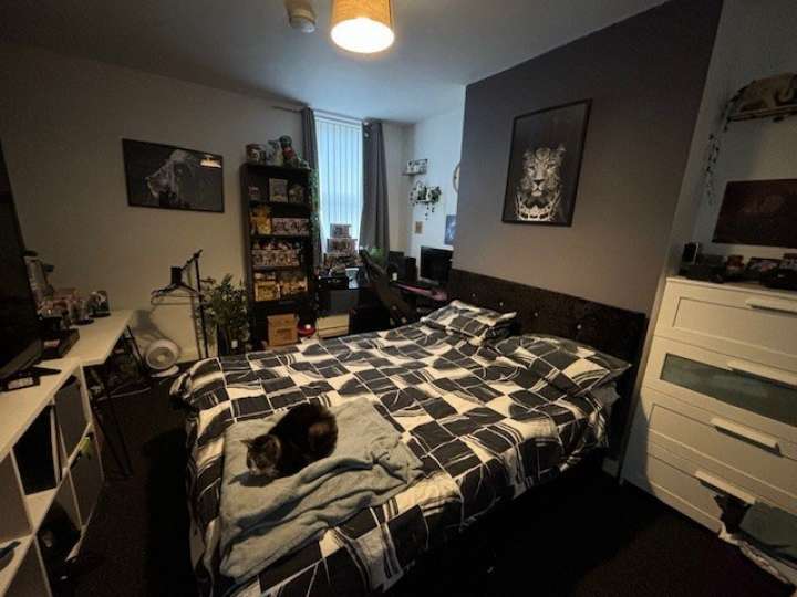 73 Brougham Road - Bedroom 4.jpg