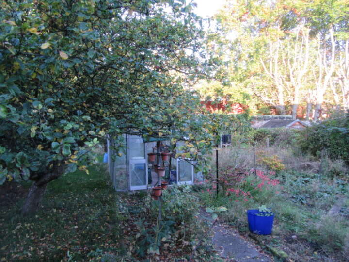 The_Village_4_rear_garden.JPG